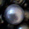 Black Pearl Powder
