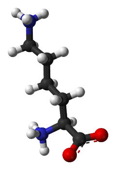 賴胺酸矽烷醇